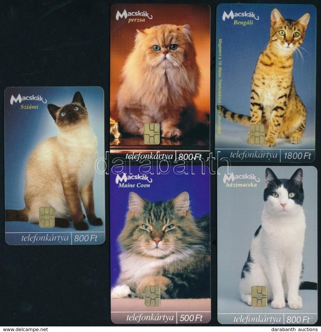2003 Macskák, 5 Db Telefonkártya, Közte 2000 Db-os Is - Ohne Zuordnung
