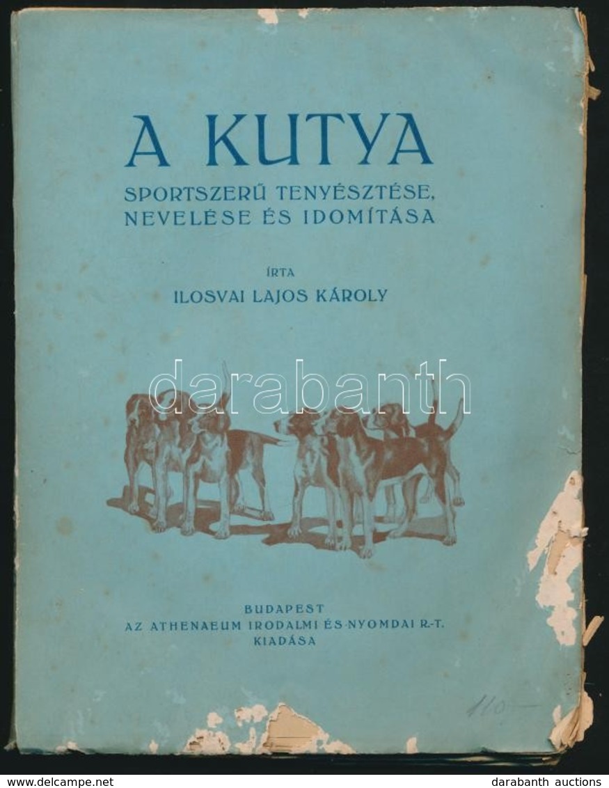 Ilosvai Lajos Károly: A Kutya Sportszerű Tenyésztése, Nevelése és Idomítása. Részletes Vezérfonal Ebtenyésztők és Ebkedv - Ohne Zuordnung