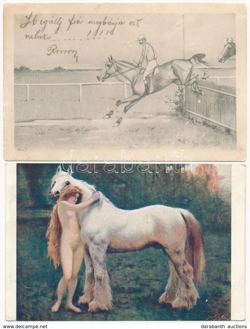 ** * 21 Db RÉGI Motívum Képeslap: Ló / 21 Pre-1945 Motive Postcards: Horse - Ohne Zuordnung