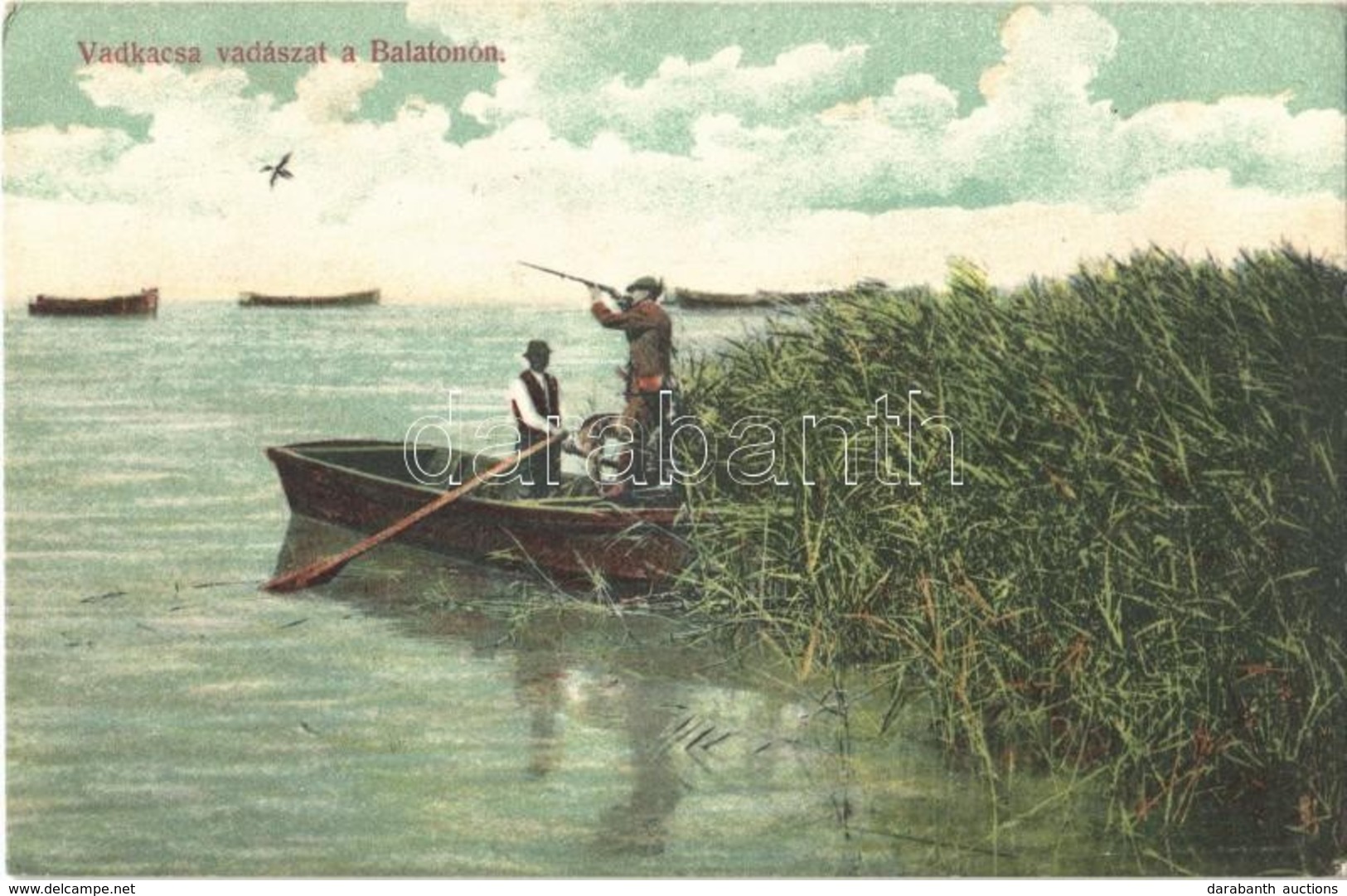 T2 1907 Balaton, Vadkacsa Vadászat A Balatonon. Divald Károly 1063. - Zonder Classificatie