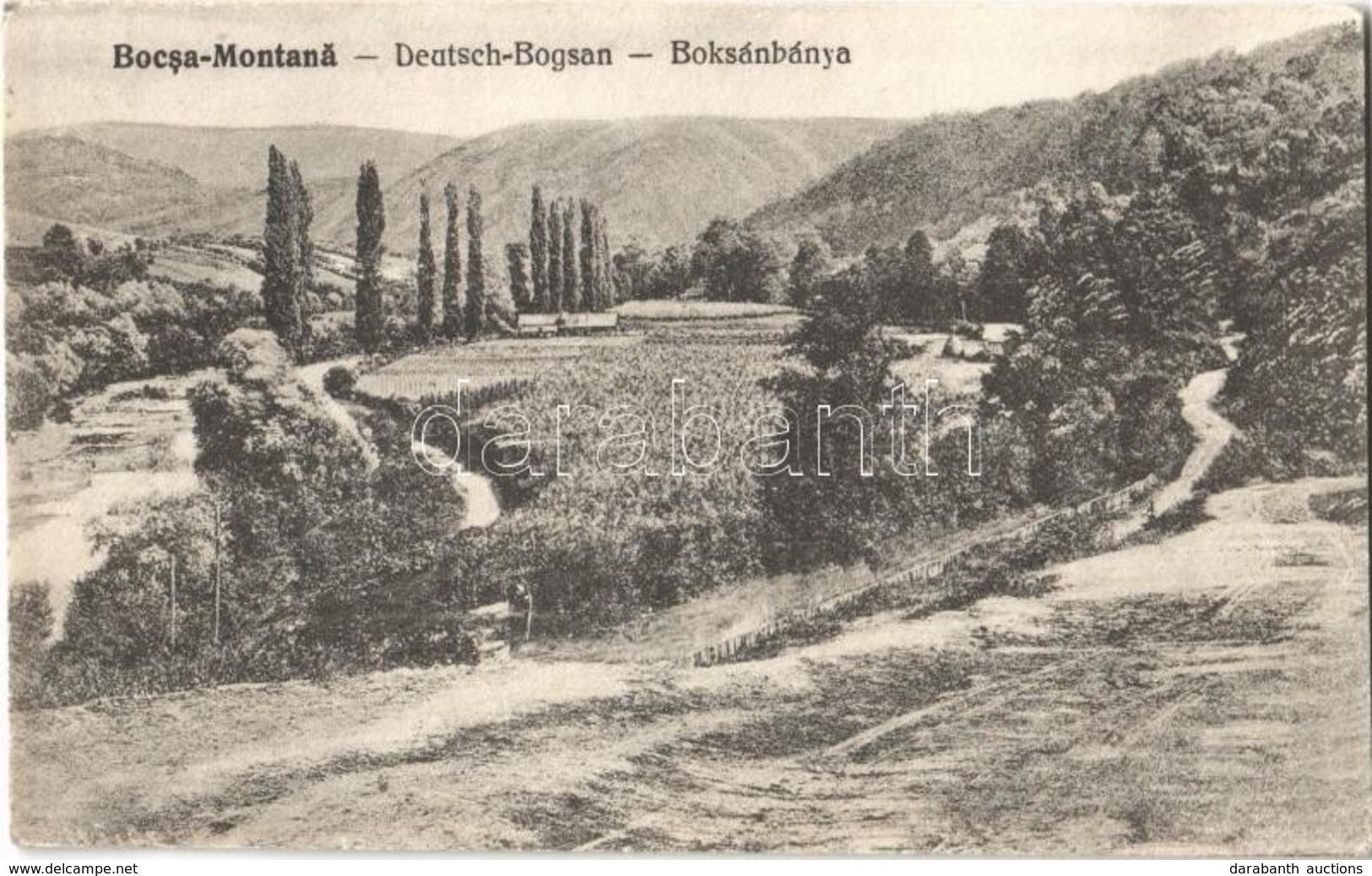 ** T2/T3 Boksánbánya, Németbogsán, Deutsch-Bogsan, Bocsa Montana, Bocsa; Látkép. Adolf Rosner Kiadása / General View - Unclassified