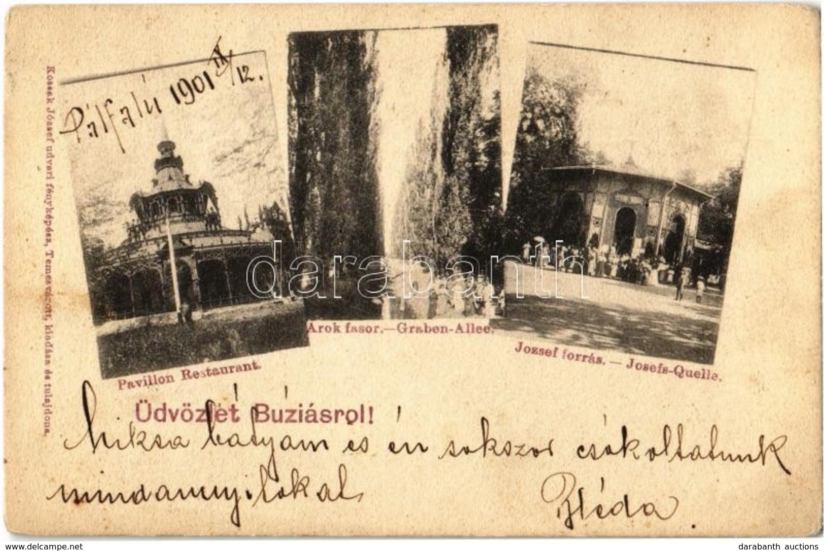 * T2/T3 1901 Buziásfürdő, Baile Buzias; Pavillon Restaurant, Graben-Allee, Josefs-Quelle / Étterem, Árok Fasor, József F - Ohne Zuordnung