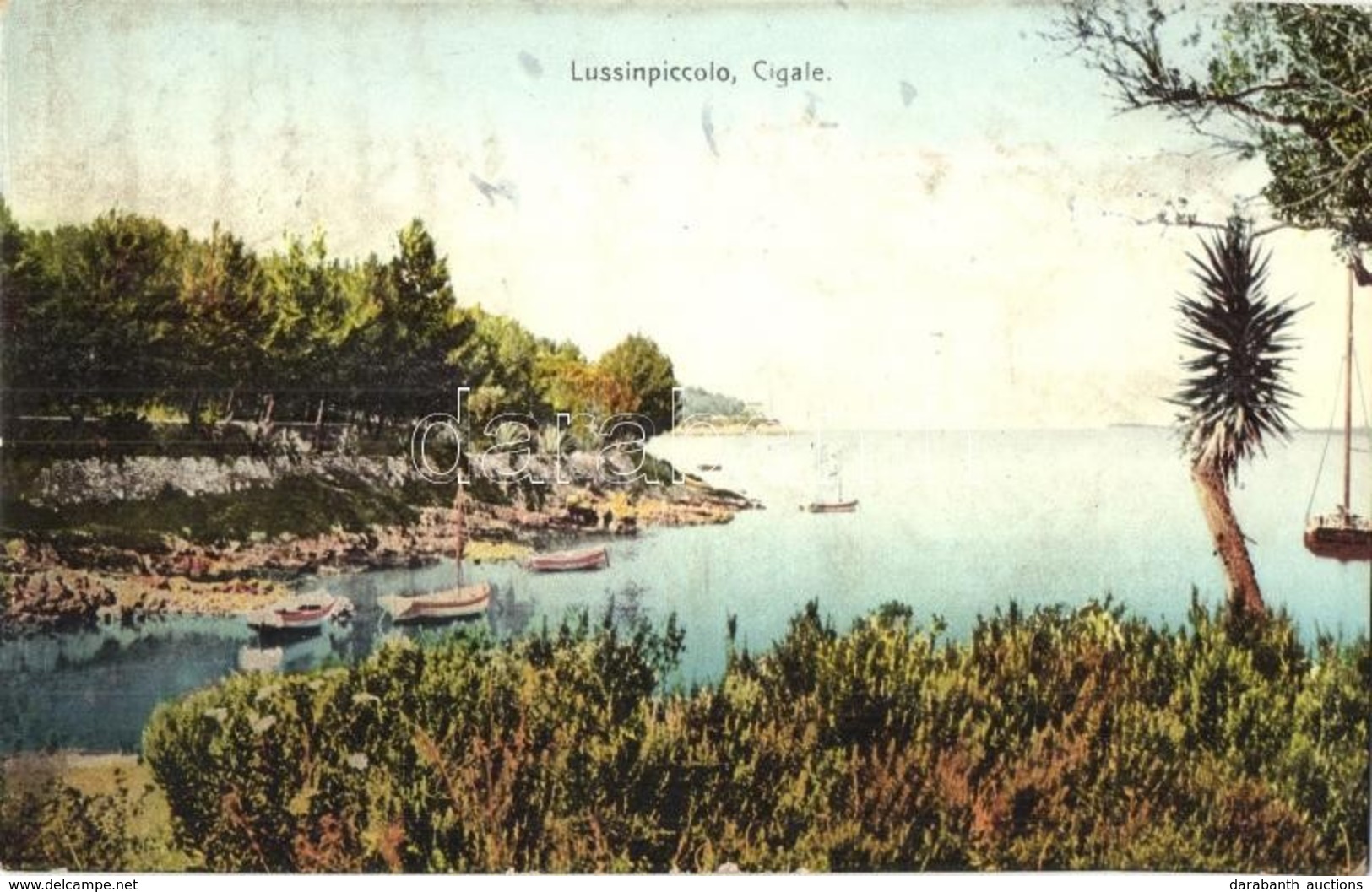 T2 Mali Losinj, Lussinpiccolo; Cigale / Cikat - Sonstige & Ohne Zuordnung