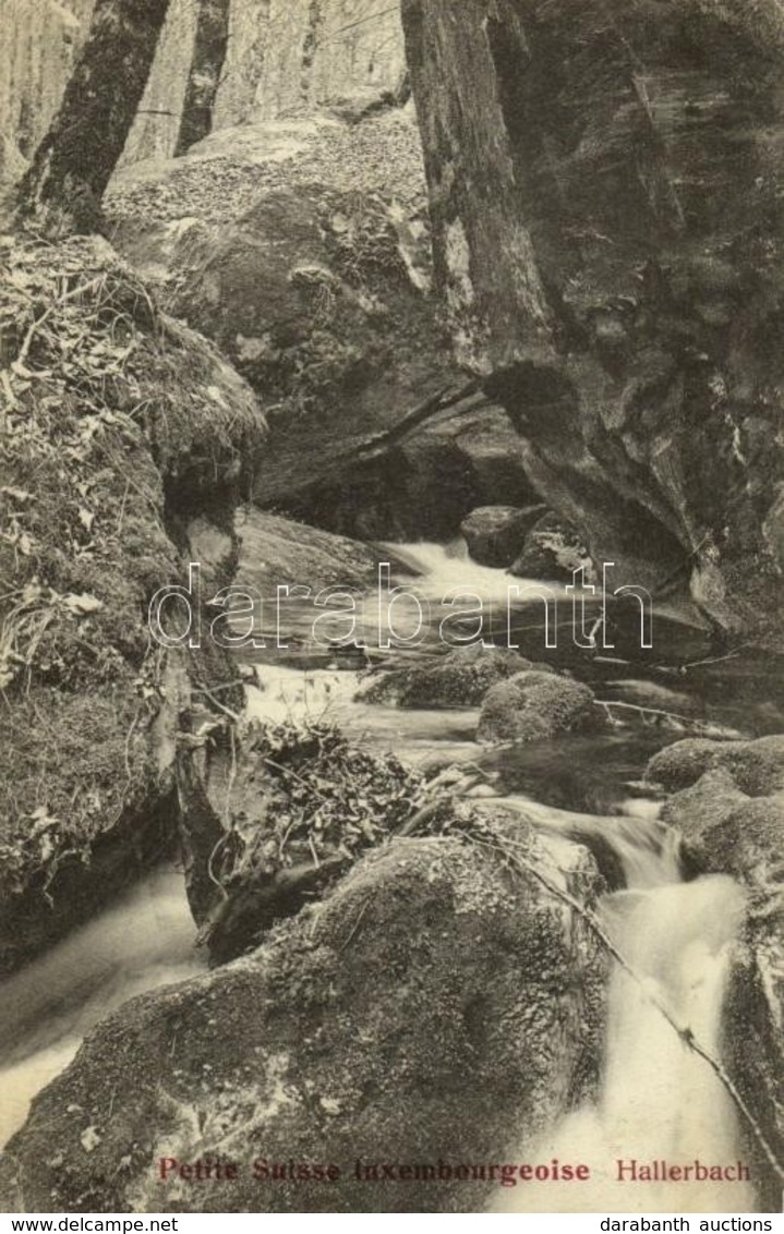 T2/T3 1911 Petite Suisse Luxembourgeoise, Mullerthal; Hallerbach / River (fl) - Sonstige & Ohne Zuordnung