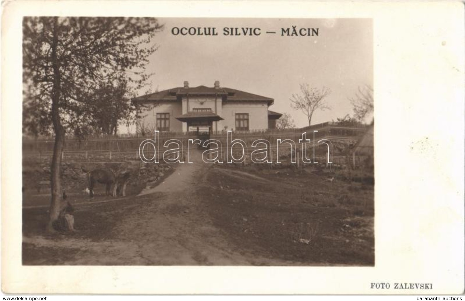 * T2 Macin, Ocolul Silvic / Forestry. Zalevski Photo - Autres & Non Classés