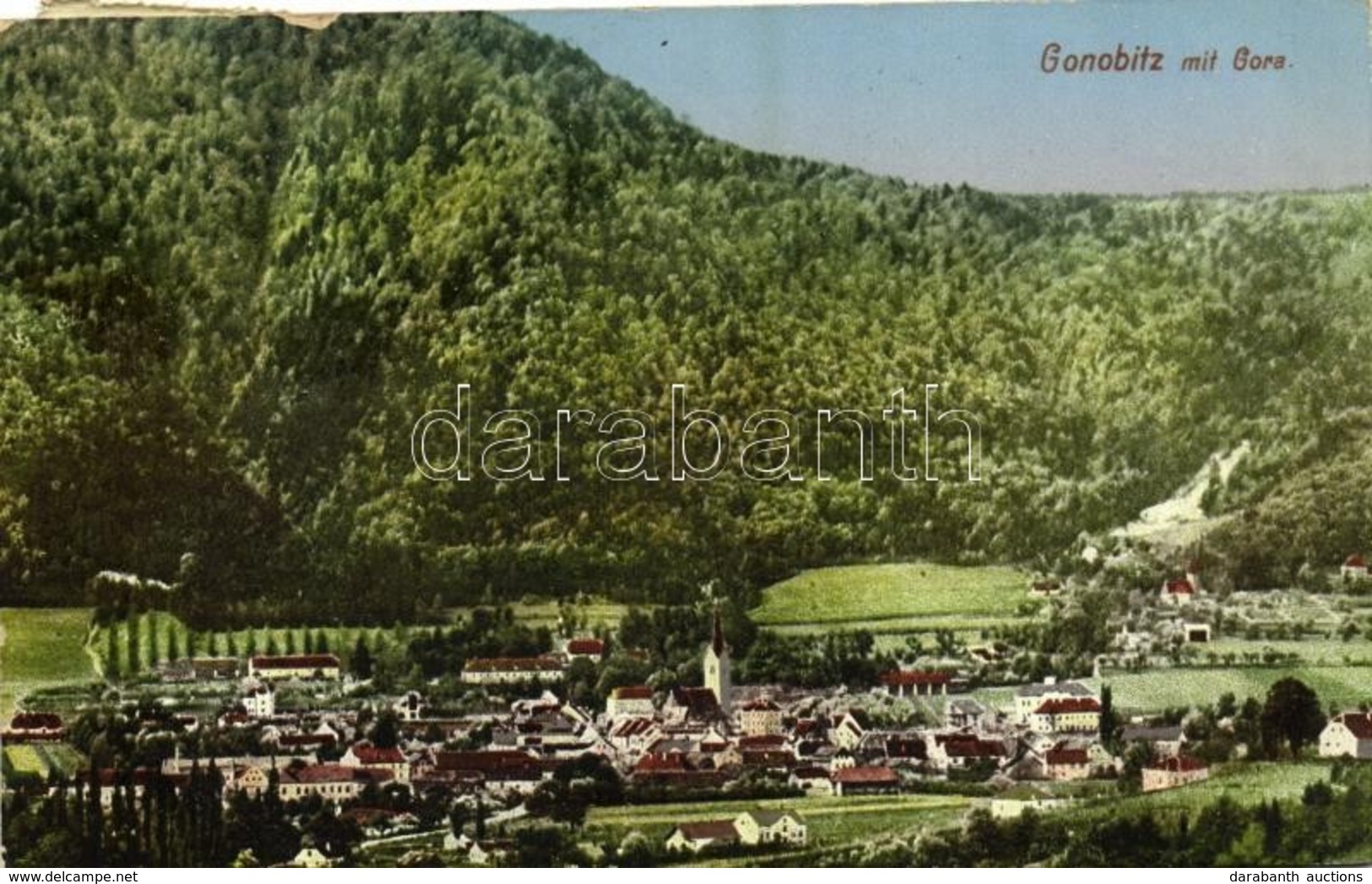 T2 1919 Slovenske Konjice, Gonobitz; Gora / General View, Mountain - Sonstige & Ohne Zuordnung