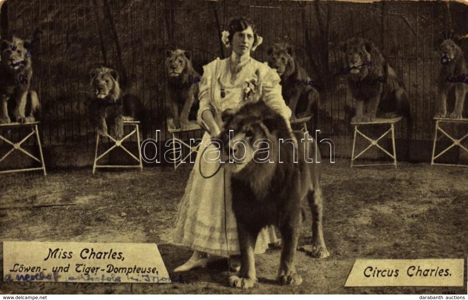 * T3 Circus Charles, Miss Charles Löwen- Und Tiger-Dompteuse / Miss Charles Animal Trainer, Lion And Tiger Tamer (tear) - Ohne Zuordnung