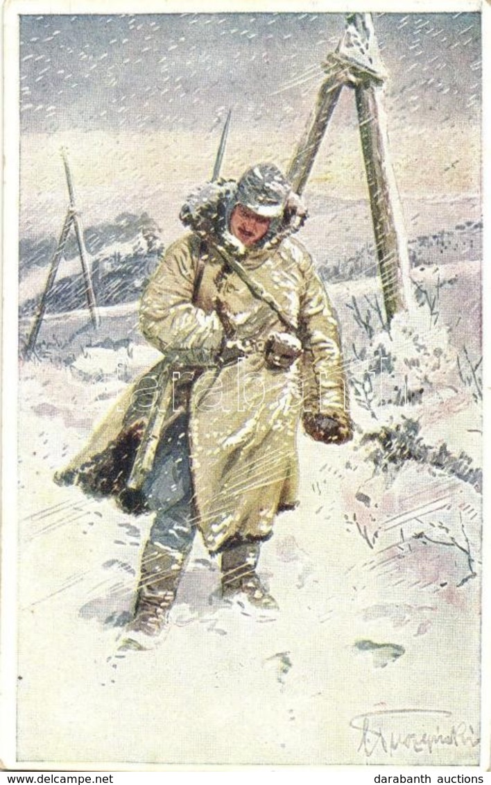 T2/T3 1916 Hilfsaktion 'Kälteschutz' Kriegshilfsbüro Nr. 392. / WWI Austro-Hungarian K.u.K. Military Art Postcard, Artis - Non Classés