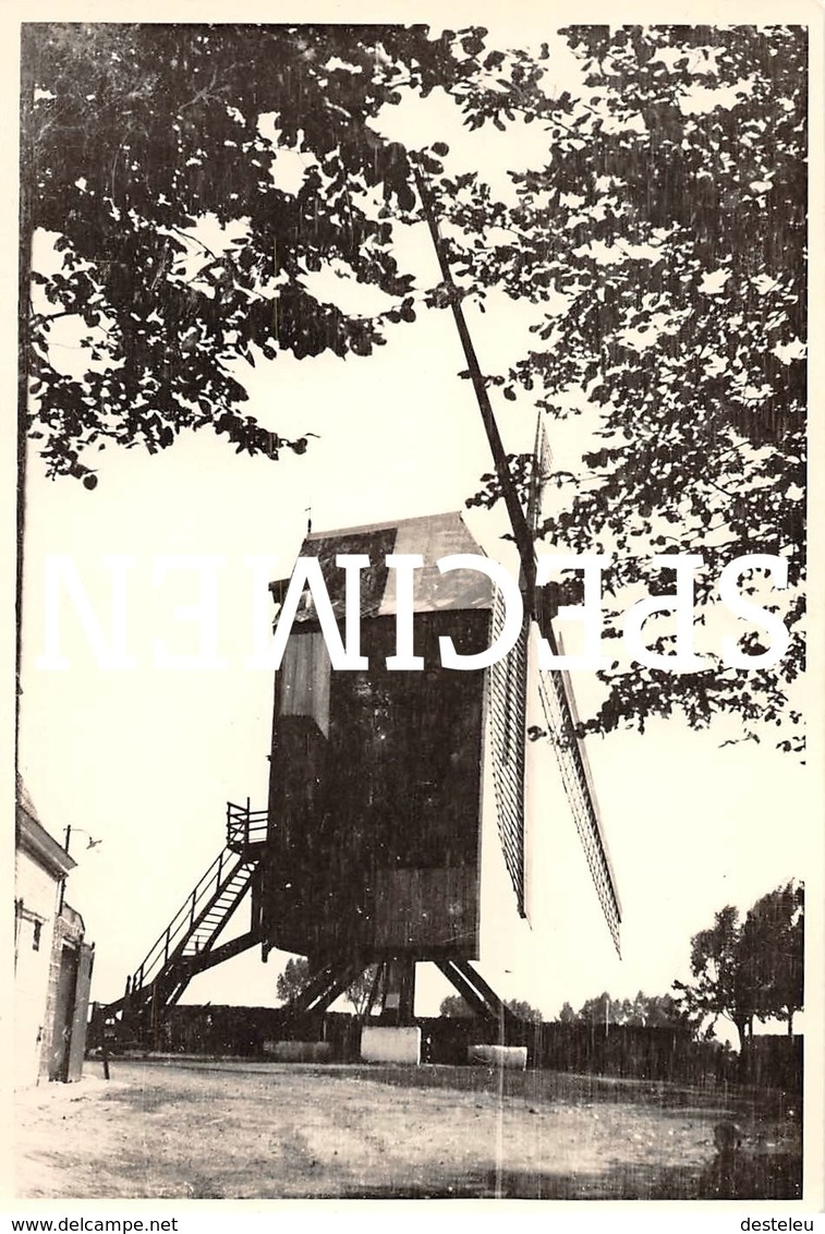 Foto Molen - Sint-Eloois-Winkel 12x8 Cm - Ledegem