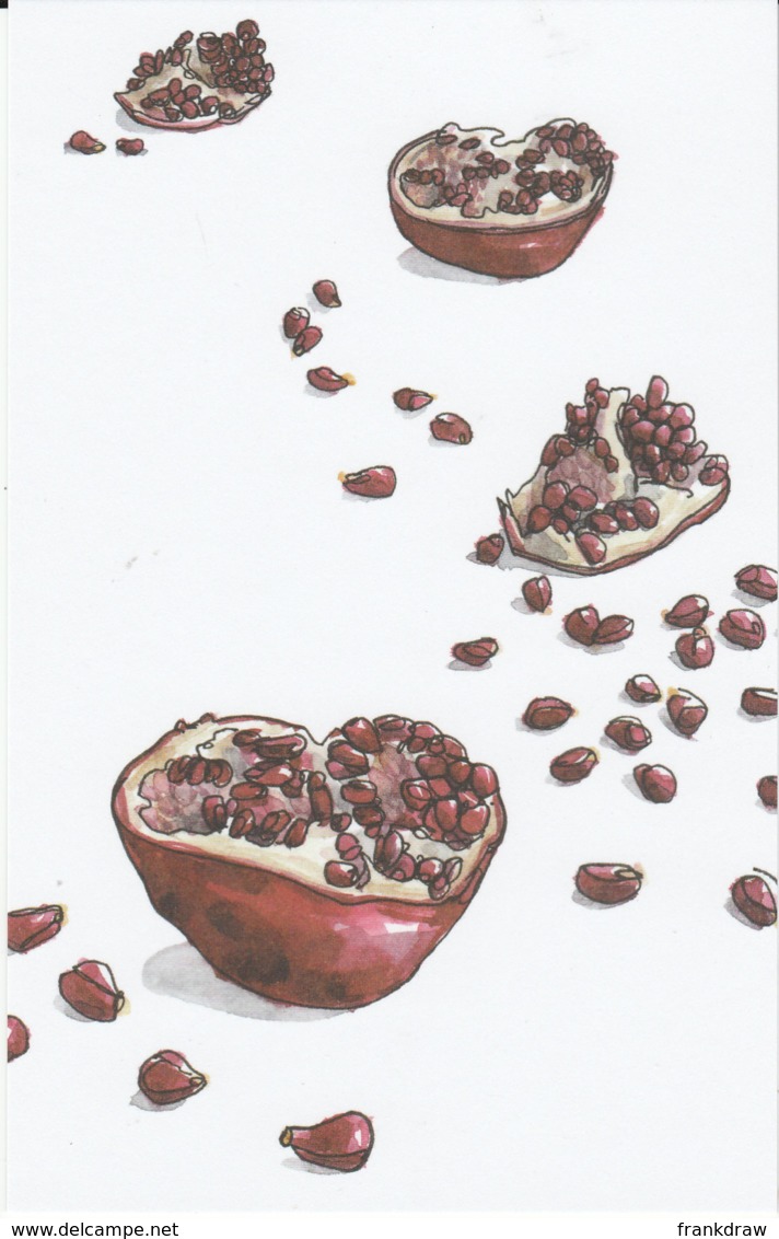 Postcard - Art - Wendy MacNaughton - Pomegranate - New - Unclassified