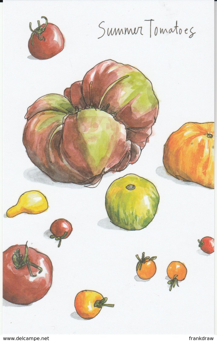 Postcard - Art - Wendy MacNaughton - Summer Tomatoes - New - Unclassified