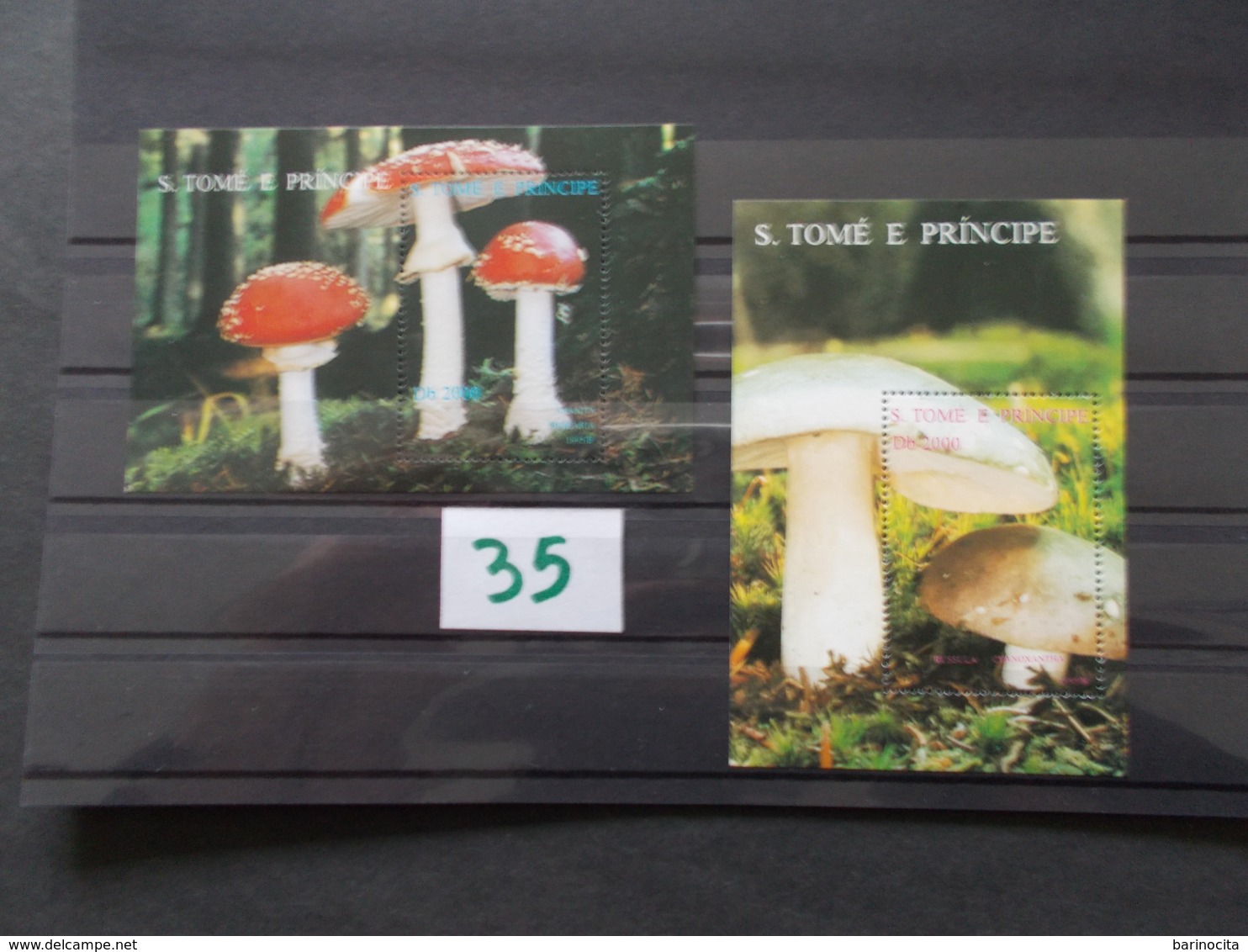 S' TOME E PRINCIPE   -  CHAMPIGNONS   N° 163 W + X   Année 1995 Neuf XX Voir Photo ( 35) - Mushrooms