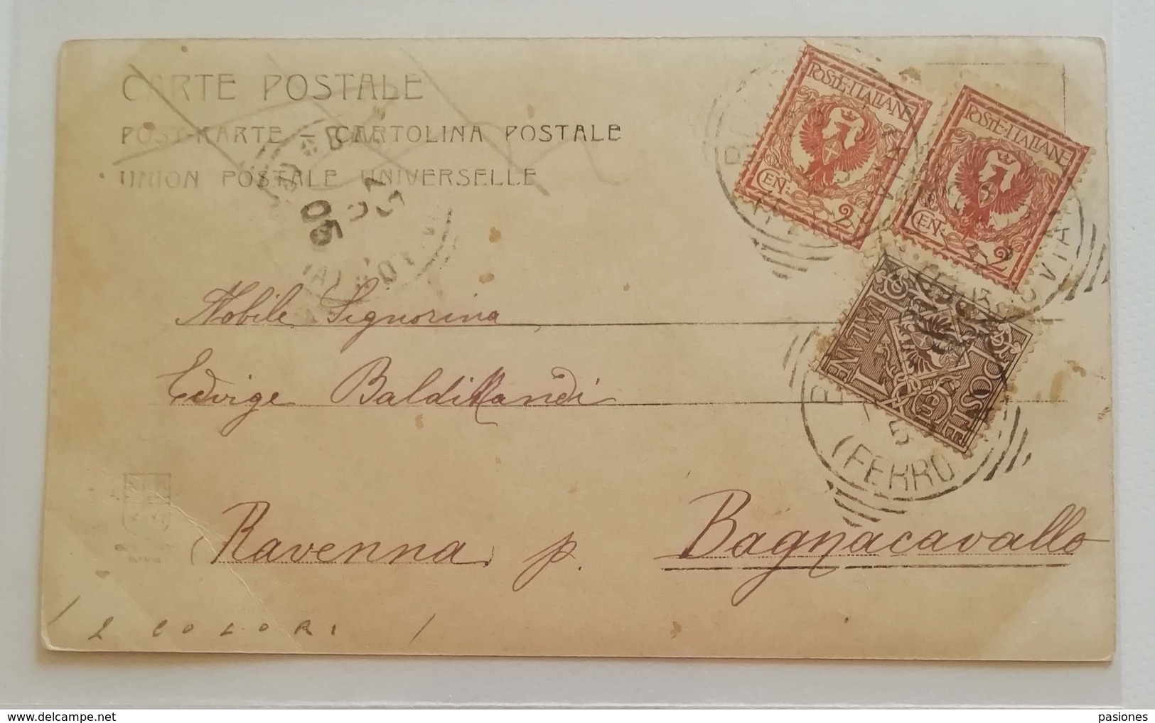 Cartolina Postale Bologna-Bagnacavallo - 24/10/1905 - Storia Postale