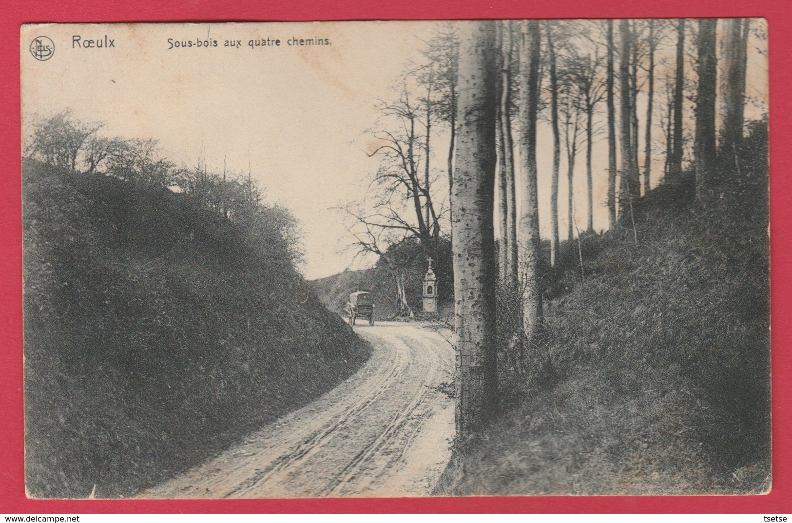 Le Roeulx - Sous-bois Aux Quatre Chemins ( Voir Verso ) - Le Roeulx