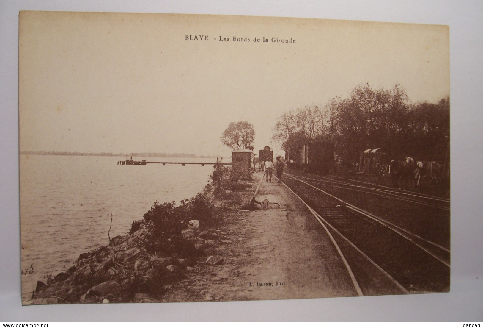 BLAYE   -  Les Bords De La Gironde  - ( CHEMIN DE FER  ) - Blaye