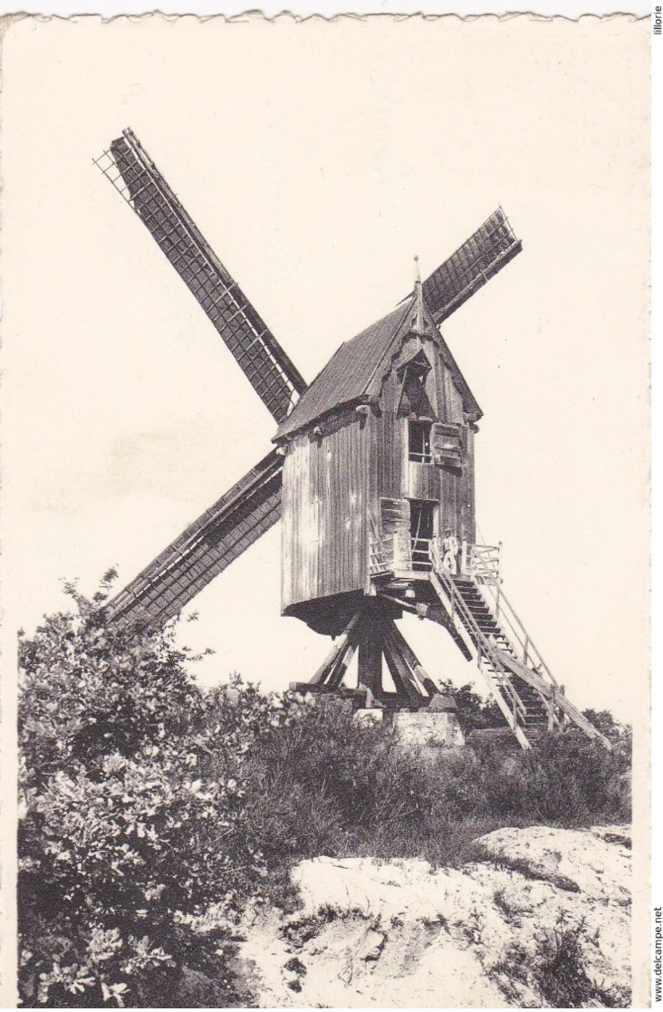 Keerbergen Le Vieux Moulin En Activité Oude Molen In Werking - Keerbergen