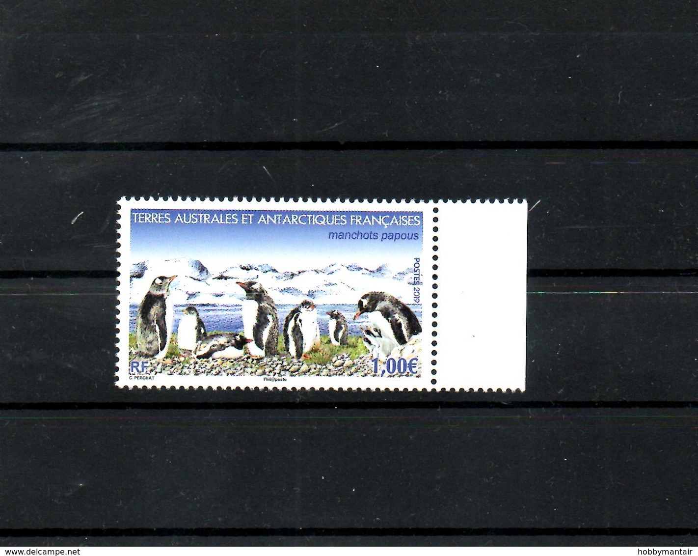 TAAF,  2019,  PENGUINS,1v MNH**NEW - Autres & Non Classés