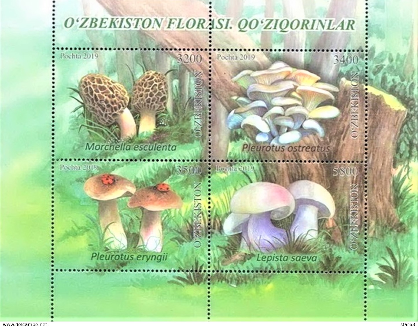 UZBEKISTAN  2019   Mushrooms Of Uzbekistan   S/S   MNH - Funghi