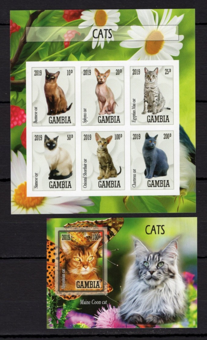 Series 2 Of The MNH Block - Animals - Cats - B / S - 2019 - Domestic Cats