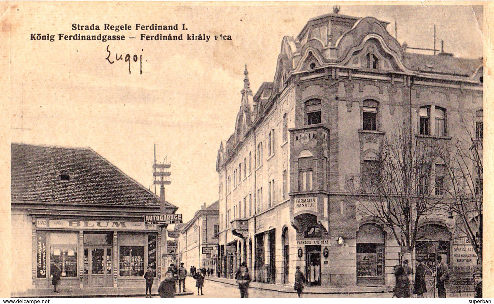 LUGOJ - TIMIS : STRADA REGELE FERDINAND - BLUM [ JUDAÏCA ] : JUVAERGIU SI CEASORNICAR / FARMACIA BANATUL ~ 1930 (ad418) - Roumanie