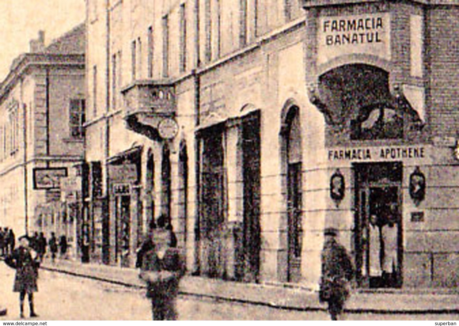 LUGOJ - TIMIS : STRADA REGELE FERDINAND - BLUM [ JUDAÏCA ] : JUVAERGIU SI CEASORNICAR / FARMACIA BANATUL ~ 1930 (ad418) - Roumanie