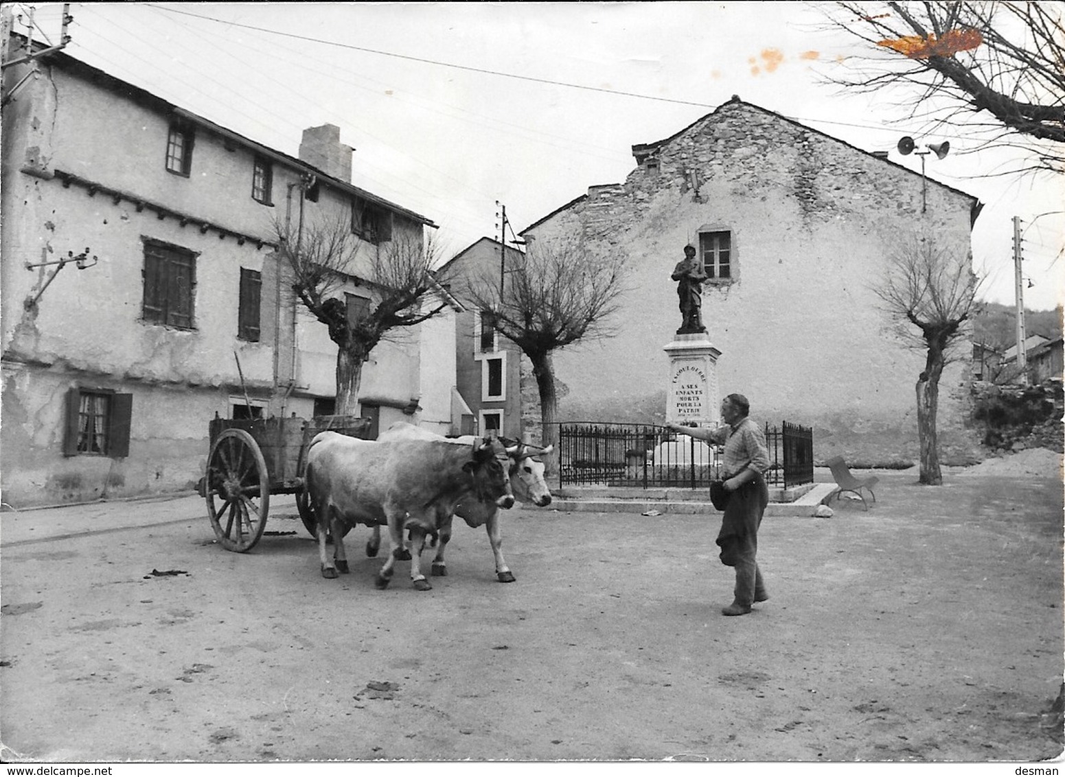 CPSM  ESCOULOUBRE - Place, Monument Aux Morts (Bouvier De Profil). - Autres & Non Classés