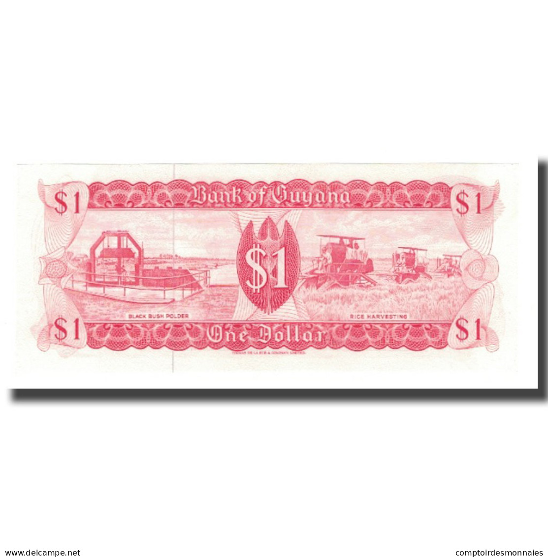 Billet, Guyana, 1 Dollar, Undated (1966-92), KM:21d, NEUF - Guyana