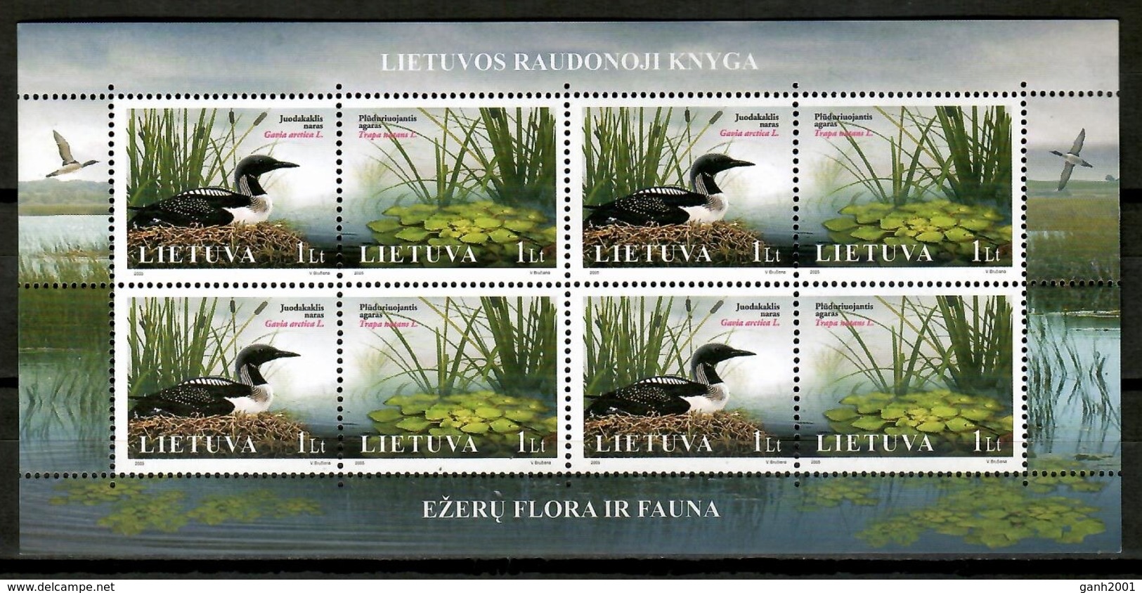 Lithuania 2005 Lituania / Birds Flowers MNH Vögel Blumen Aves Flores / Cu15315  18-33 - Otros & Sin Clasificación