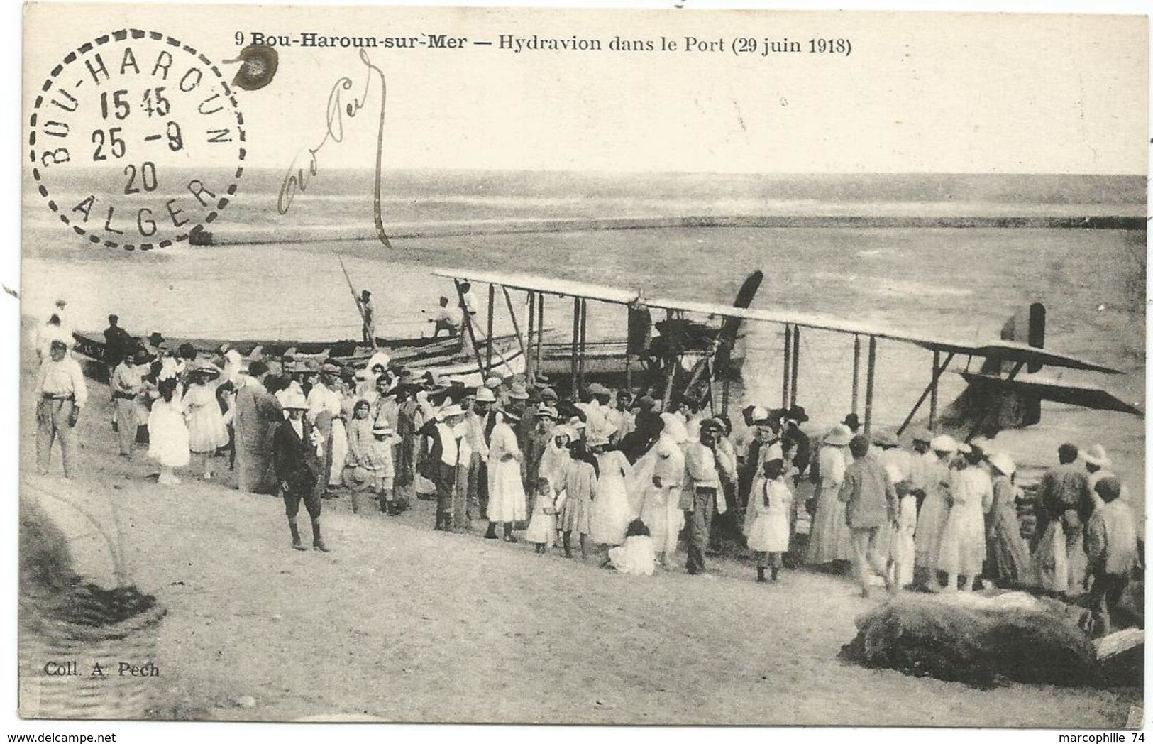 BOU HAROUN SUR MAER HYDRAVION DANS LE PORT  CARTE ALGERIE - Autres & Non Classés