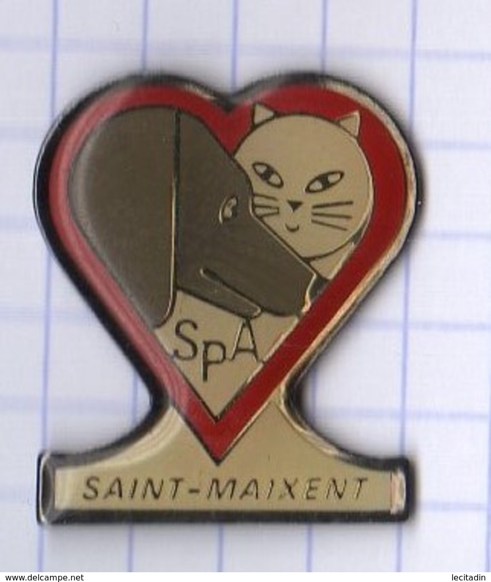 PINS VILLE 72 SAINT MAIXANT  SPA - Villes