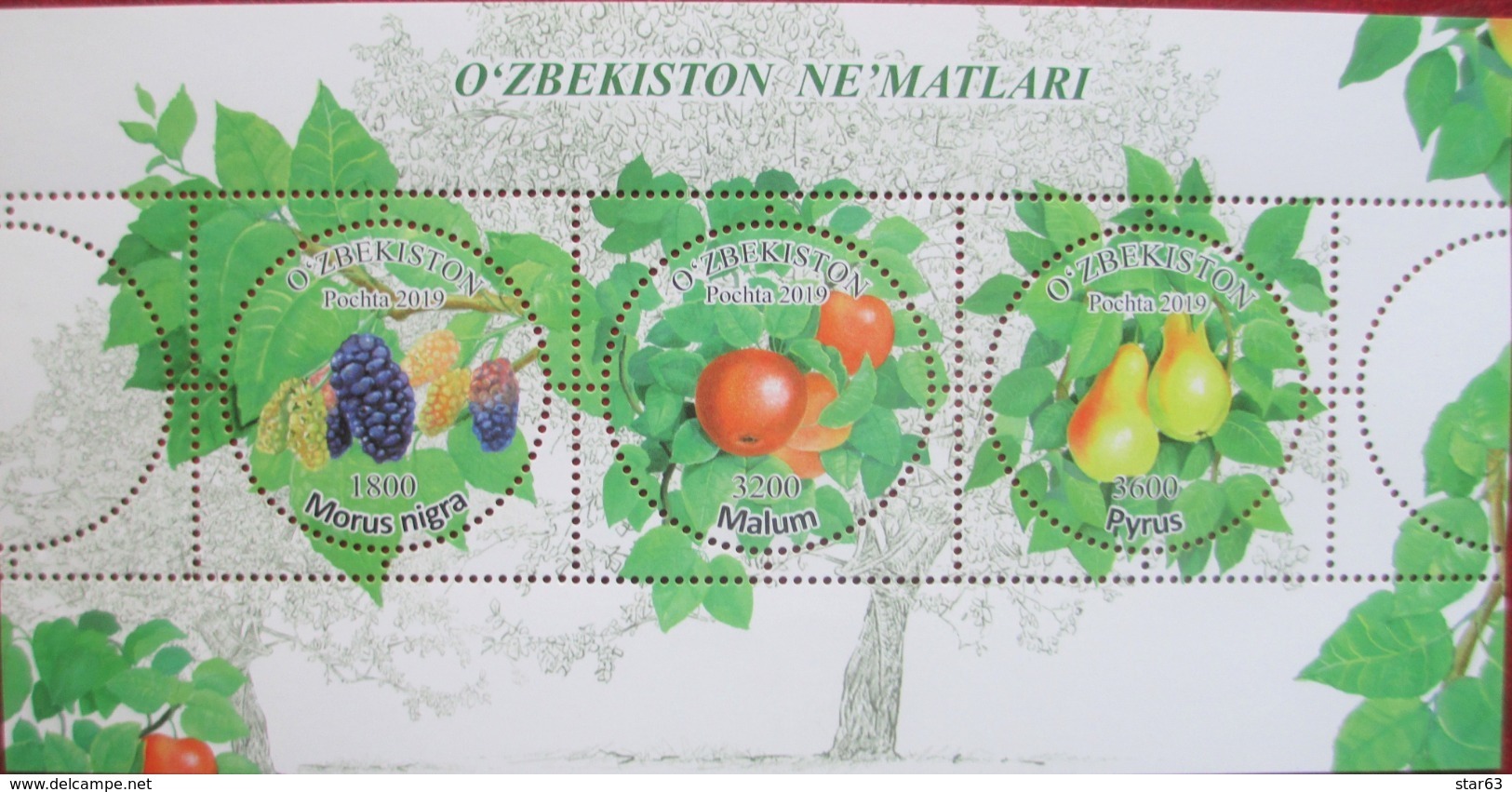 Uzbekistan  2019  Fruits  Of Uzbekistan  S/S   MNH - Ouzbékistan