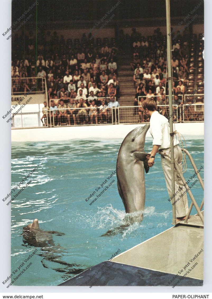 TIERE - DELFIN / DELPHIN / DOLPHIN / DAUPHIN - Dolfinarium Harderwijk - Dauphins