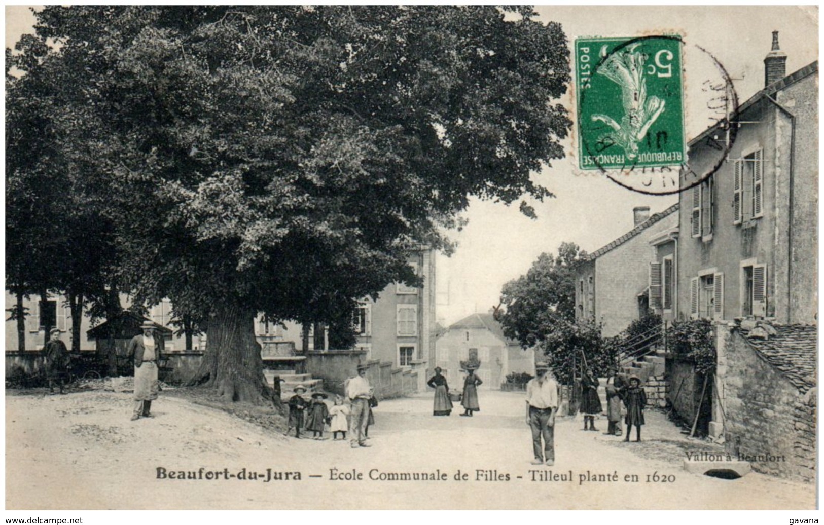 39 BEAUFORT-du-JURA - Ecole Communale De Filles - Tilleul Planté En 1620 - Beaufort