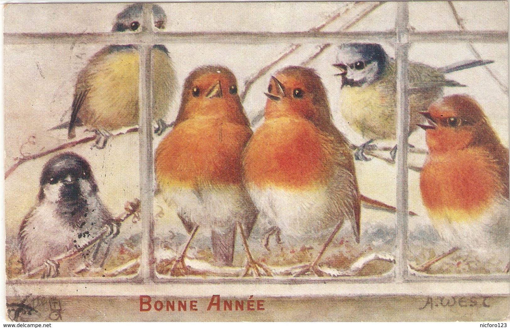 "A.L-West. Burds Singing " Tuck Oilette Christmas Greetings PC # 8482 - Tuck, Raphael