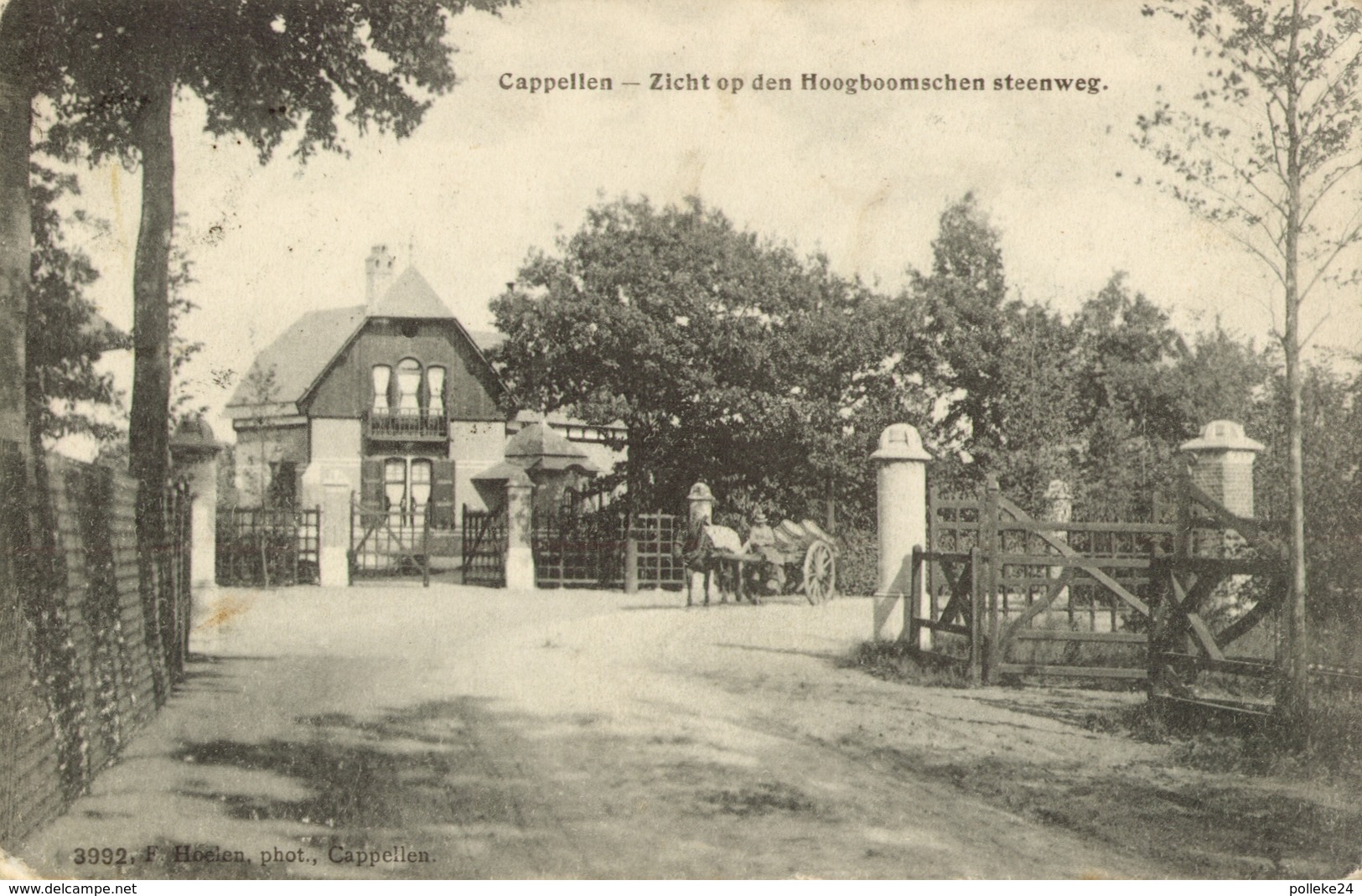 Cappellen-Hoogboom - Zicht Op Den Hoogboomschen Steenweg - Hoelen 3992 - 1908 - Kapellen