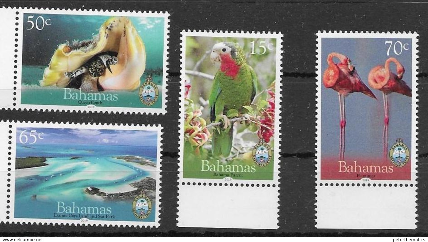 BAHAMAS, 2019, MNH, NATIONAL TRUST, BIRDS, PARROTS, FLAMINGOS, SHELLS, 4v - Fenicotteri