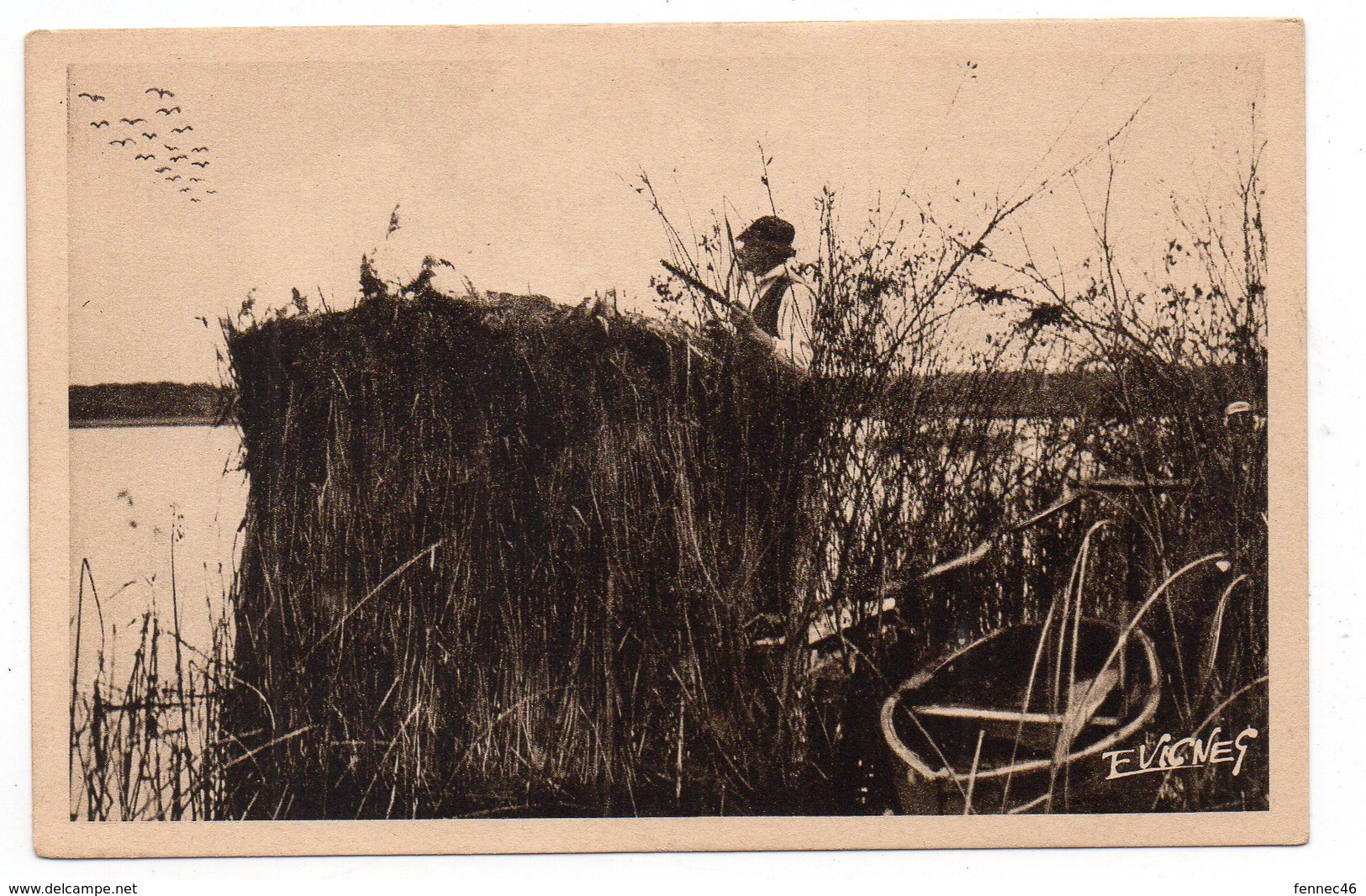 En GASCOGNE - Novembre, Sur Les Lacs, La Chasse Aux Canards Sauvages Et Aux Macreuses - Animée (I121) - Caza