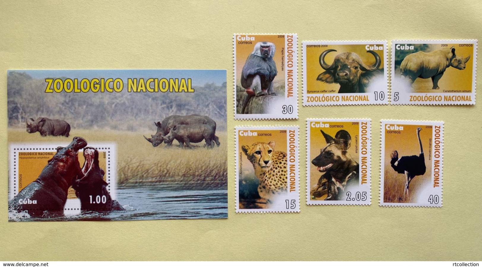 Cuba 2009 Set Of 6 + M/S Wild Animals In Havana Zoo Fauna Mammals Bird Lycaon Pictus Dog Dogs Nature Stamps MNH - Unused Stamps