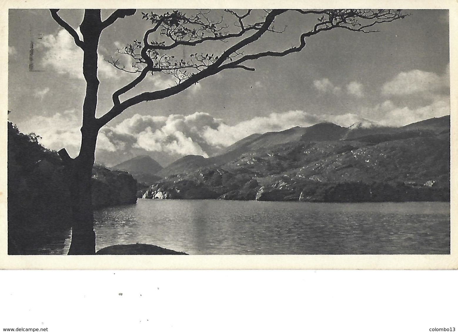 CARTE PUB AMORA EIRE UPPER LAKE  TIMBREE DU PAYS SUJET FORMAT 18 X 10CM - Reclame