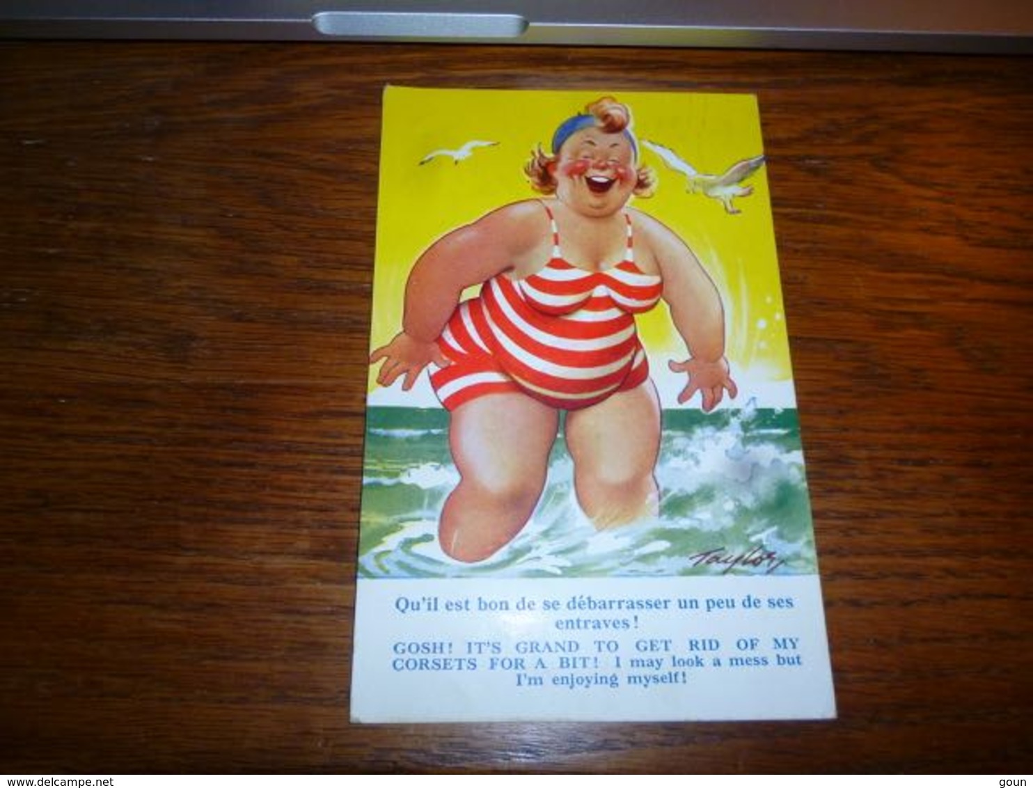 Carte Postale Fantaisie Illustrateur Taylor Grosse Femme à La Plage Maillot De Bain - Taylor