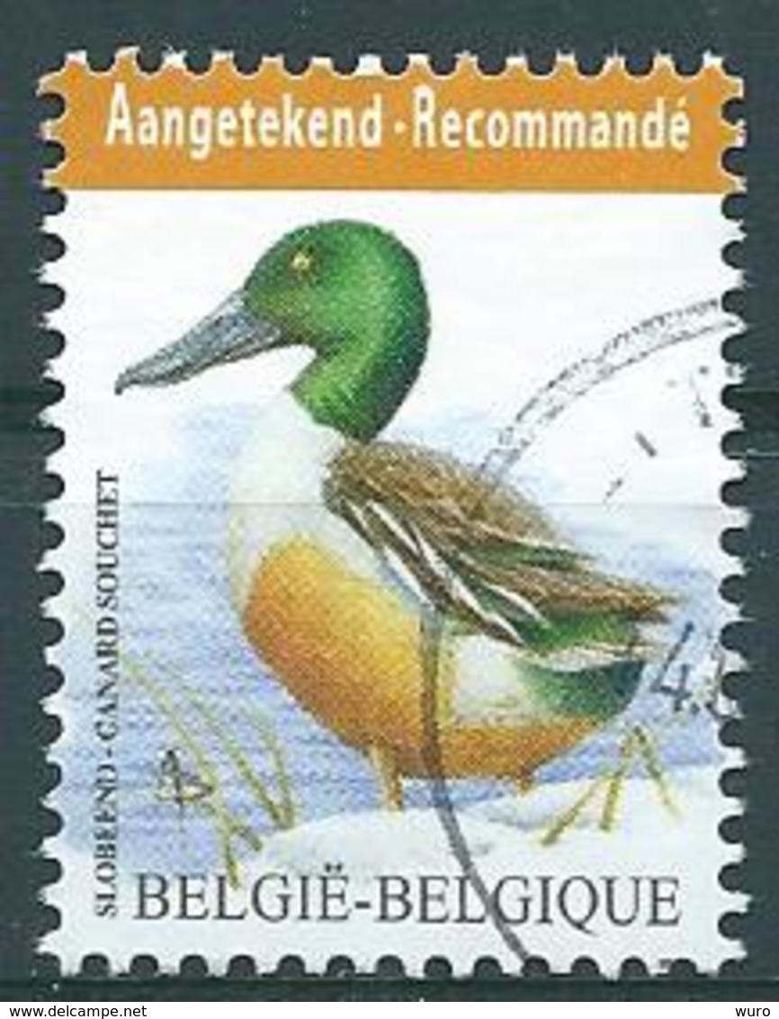 -België OBP Nr: 4537 Gestempeld / Oblitéré - Slobeend - Gebraucht