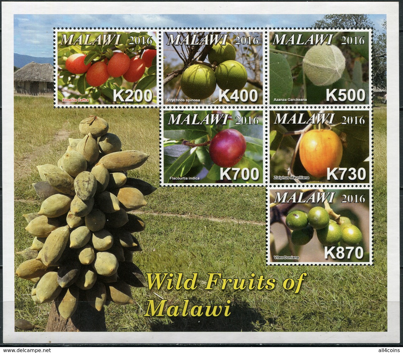 Malawi 2016. Wild Fruits Of Malawi (MNH OG) Miniature Sheet - Malawi (1964-...)