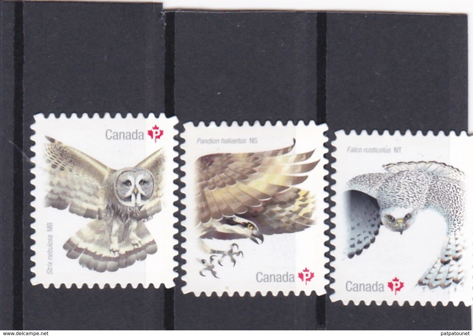 Canada YV 3404/6 MNH 2017 Pandion; Falco; Strix - Autres & Non Classés