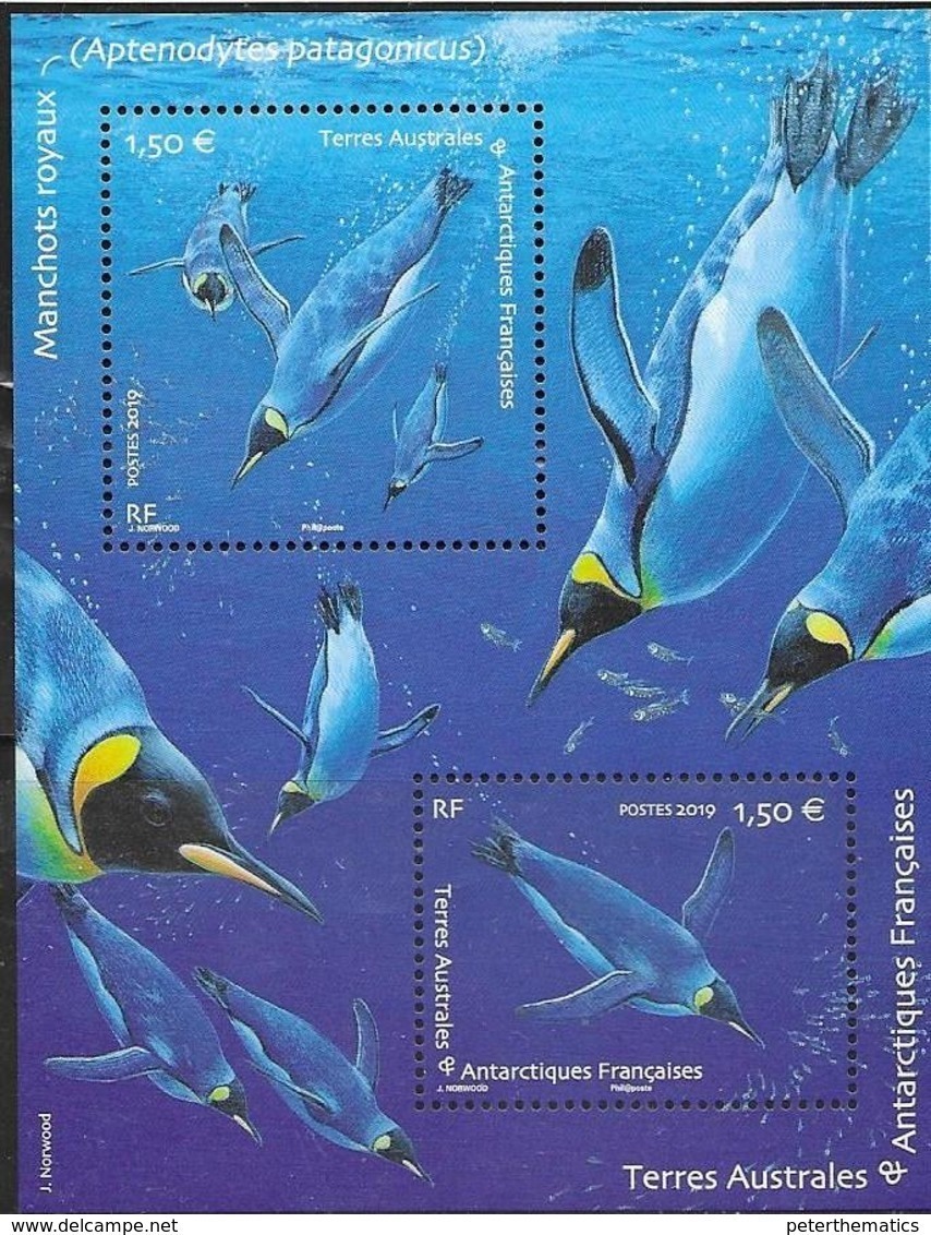 TAAF, FRENCH ANTARCTIC,  2019, MNH, PENGUINS, SHEETLET - Pingueinos