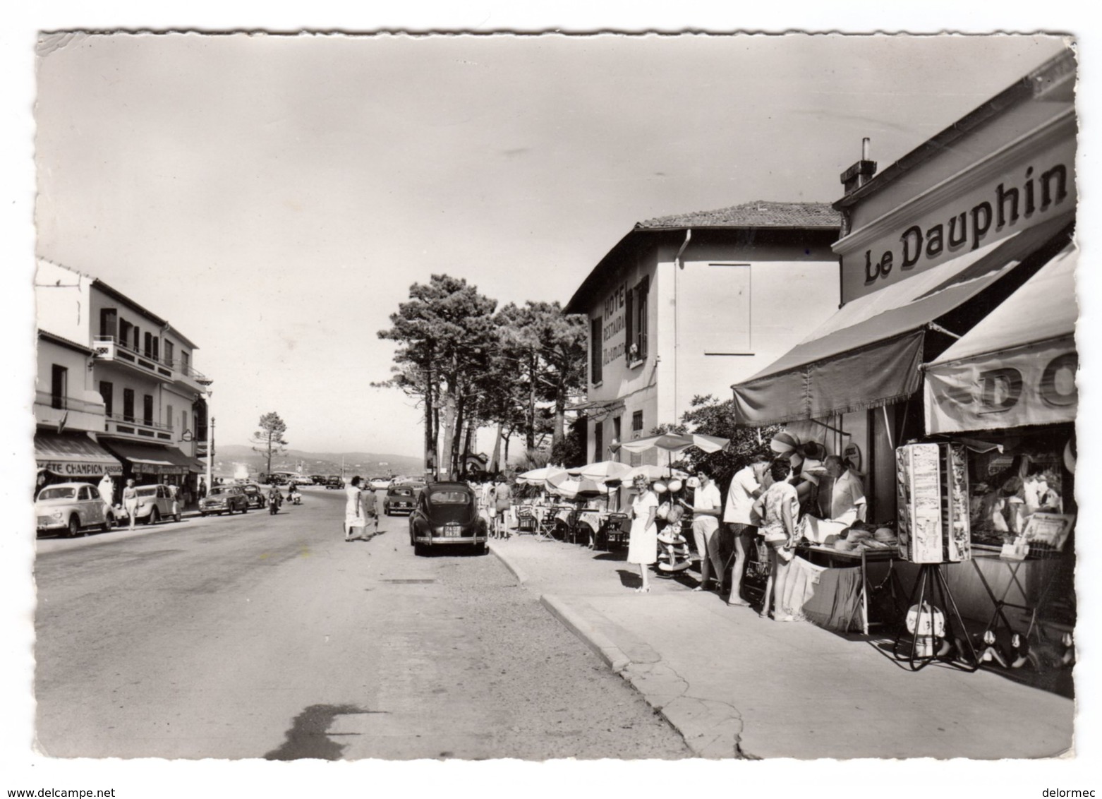 CPSM Photo Cavalaire Sur Mer Var 83 Avenue Des Alliés Tampon Boutique Souvenirs Dauphin éditeur Au Dos 203 Peugeot - Cavalaire-sur-Mer