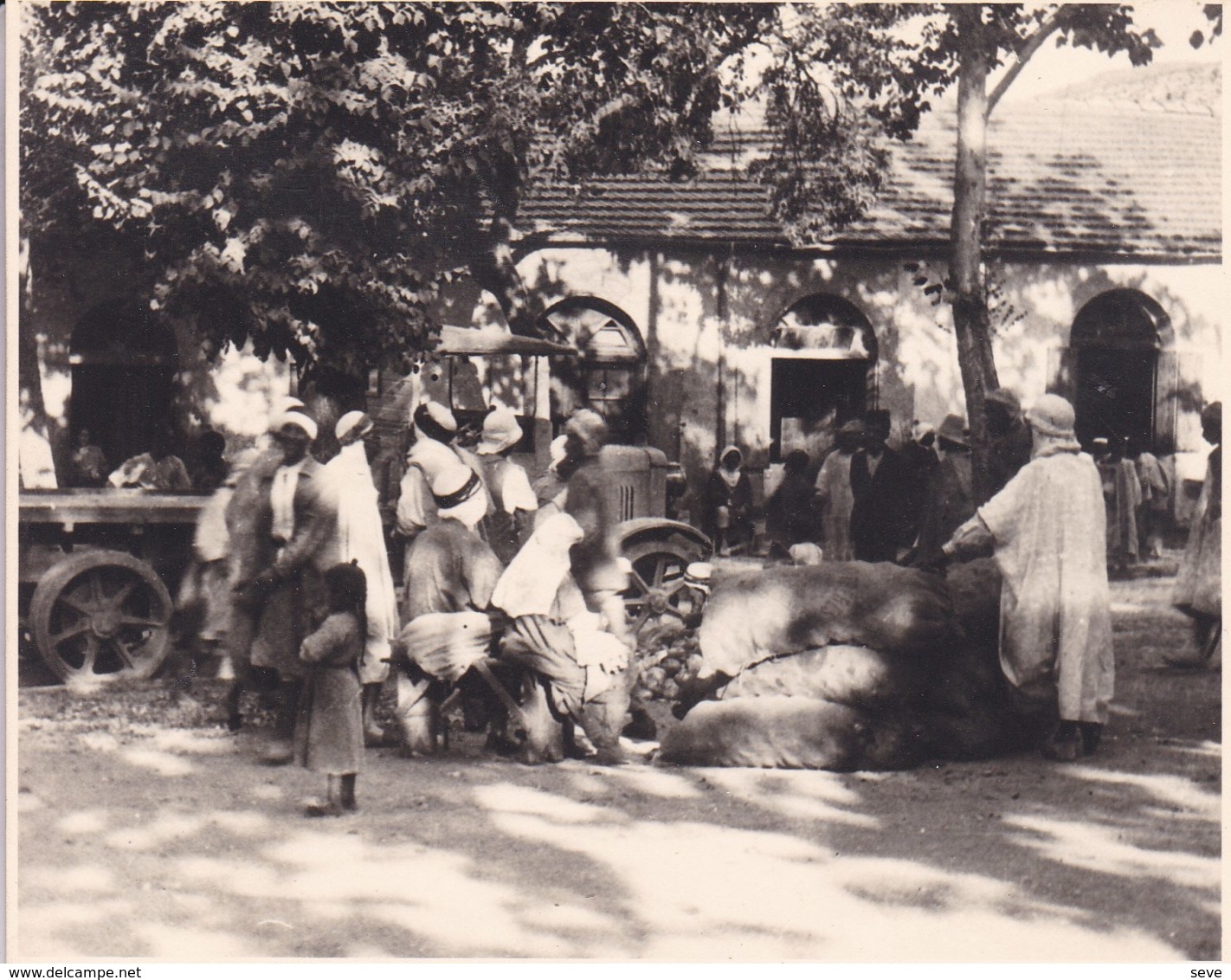 TENIET EL HAAD HAD Algérie Marché 1923 Photo Amateur Format Environ 7,5 Cm X 6, Cm Tirage Années '30 - Lieux