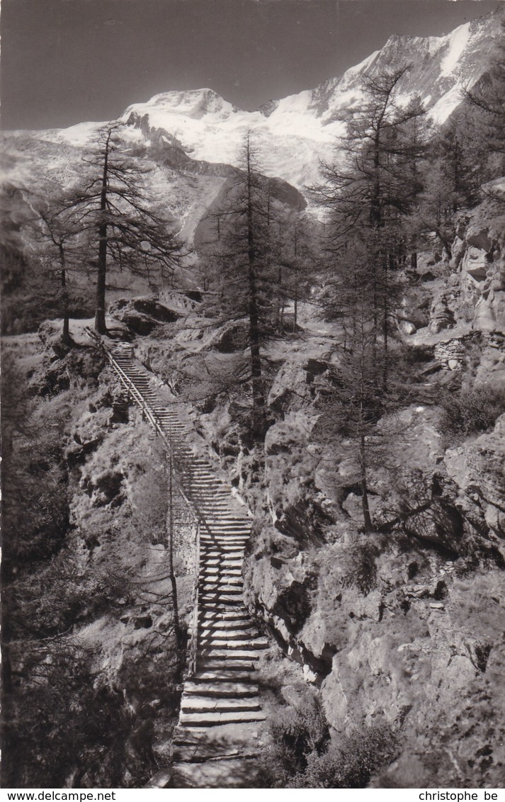 Suisse, Saas-Fee, Die Hohe Sliege Am Kapellenweg, Alphubel U Taschhorn (pk65688) - Saas Im Prättigau