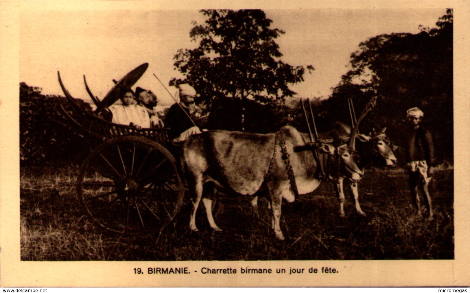 Birmanie - Charrette Birmane Un Jour De Fête - Myanmar (Burma)