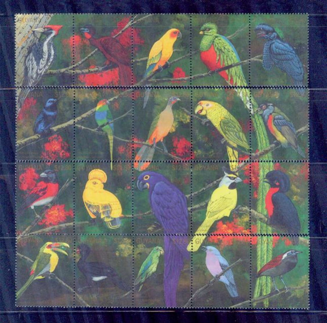 Guyana/ Rare Endangered Parrots 20s/MNH.very Nice - Pappagalli & Tropicali