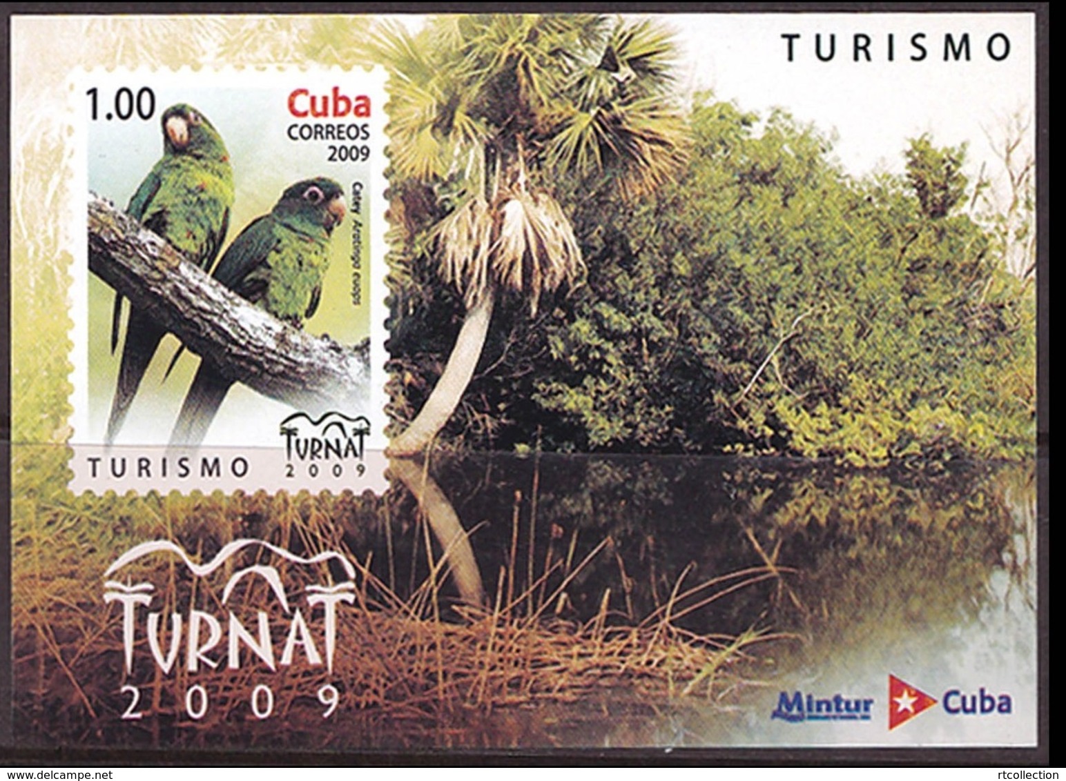 Cuba 2009 Fauna Local Birds Animals Aratinga Euops Parrot Tourism Tree Forest Nature Bird Parrots M/S Stamps MNH - Perroquets & Tropicaux